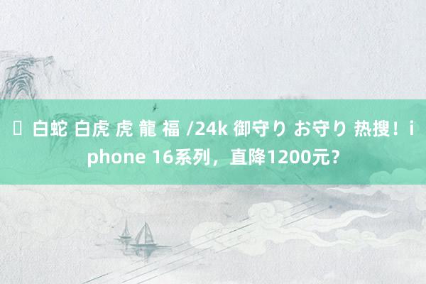 ✨白蛇 白虎 虎 龍 福 /24k 御守り お守り 热搜！iphone 16系列，直降1200元？