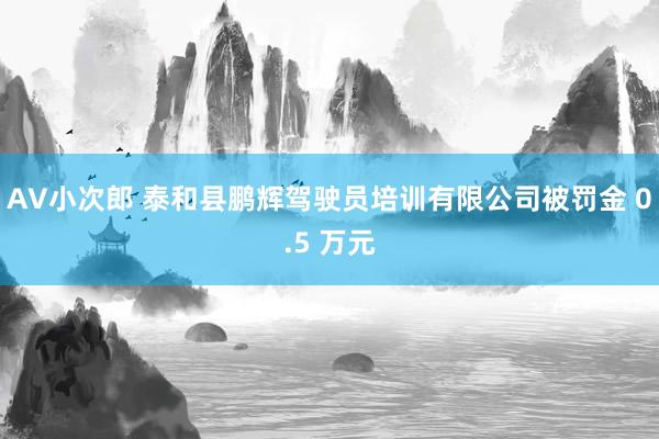 AV小次郎 泰和县鹏辉驾驶员培训有限公司被罚金 0.5 万元