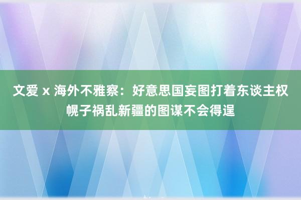 文爱 x 海外不雅察：好意思国妄图打着东谈主权幌子祸乱新疆的图谋不会得逞