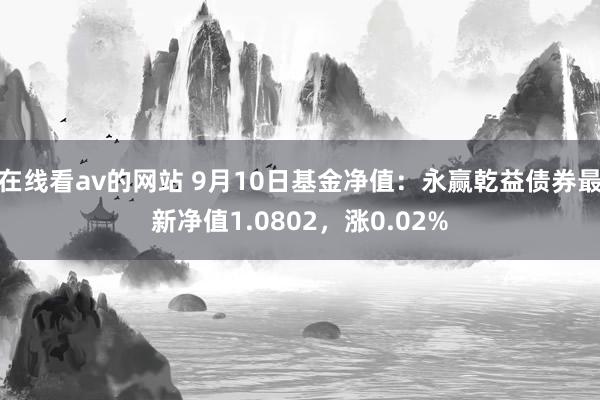 在线看av的网站 9月10日基金净值：永赢乾益债券最新净值1.0802，涨0.02%