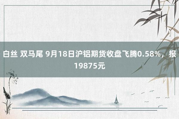 白丝 双马尾 9月18日沪铝期货收盘飞腾0.58%，报19875元