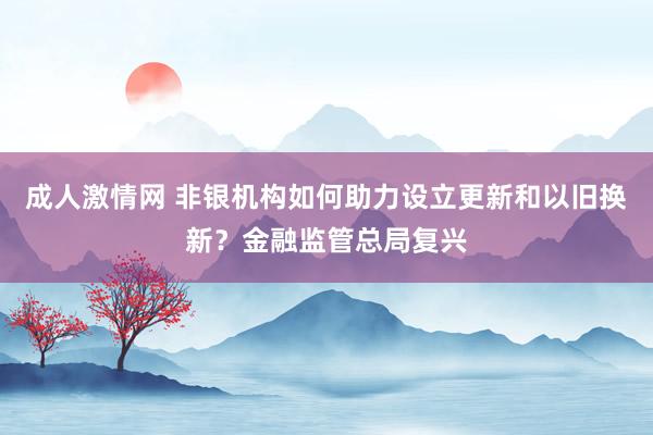 成人激情网 非银机构如何助力设立更新和以旧换新？金融监管总局复兴