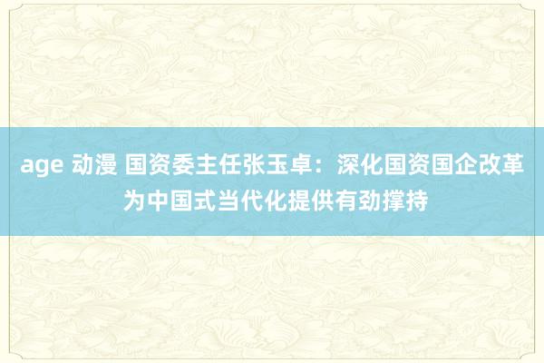 age 动漫 国资委主任张玉卓：深化国资国企改革 为中国式当代化提供有劲撑持