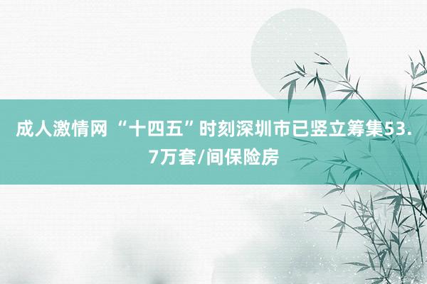 成人激情网 “十四五”时刻深圳市已竖立筹集53.7万套/间保险房