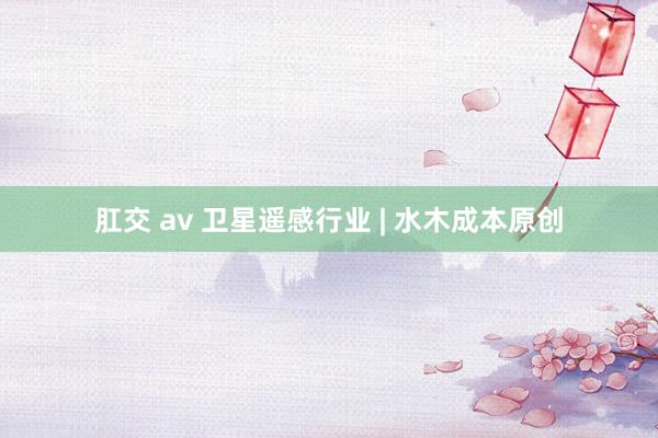 肛交 av 卫星遥感行业 | 水木成本原创