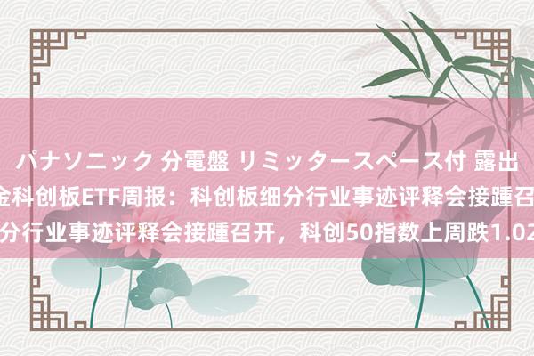 パナソニック 分電盤 リミッタースペース付 露出・半埋込両用形 华安基金科创板ETF周报：科创板细分行业事迹评释会接踵召开，科创50指数上周跌1.02%