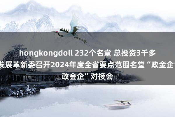 hongkongdoll 232个名堂 总投资3千多亿元 省发展革新委召开2024年度全省要点范围名堂“政金企”对接会