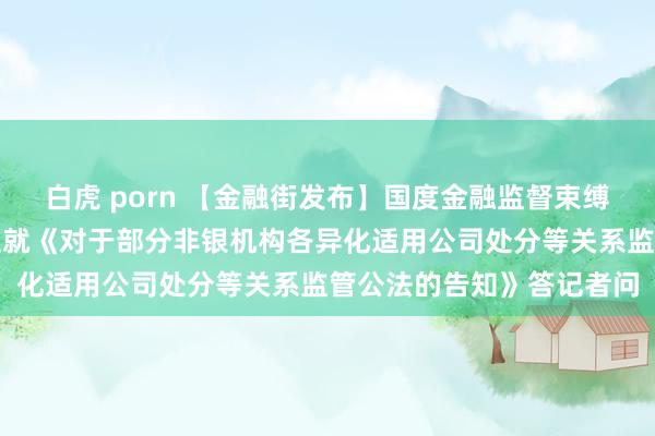 白虎 porn 【金融街发布】国度金融监督束缚总局相关司局认真东谈主就《对于部分非银机构各异化适用公司处分等关系监管公法的告知》答记者问