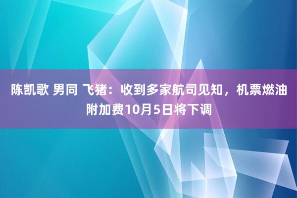 陈凯歌 男同 飞猪：收到多家航司见知，机票燃油附加费10月5日将下调