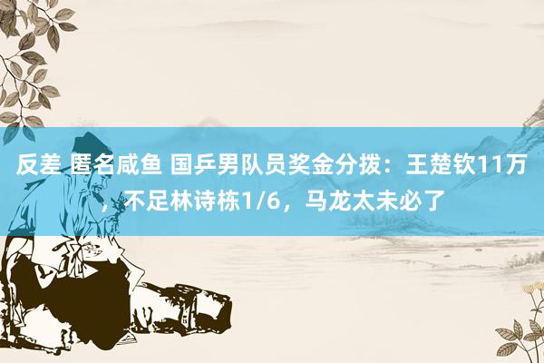 反差 匿名咸鱼 国乒男队员奖金分拨：王楚钦11万，不足林诗栋1/6，马龙太未必了