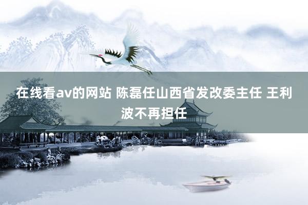 在线看av的网站 陈磊任山西省发改委主任 王利波不再担任