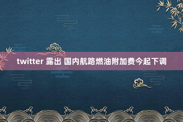 twitter 露出 国内航路燃油附加费今起下调