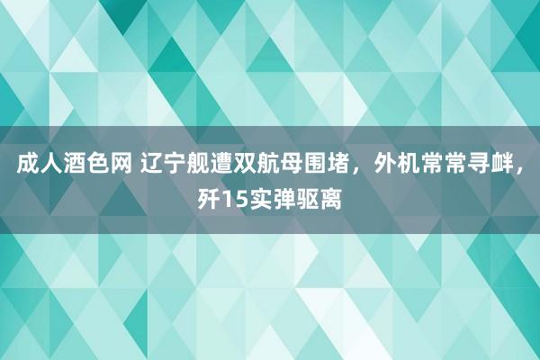 成人酒色网 辽宁舰遭双航母围堵，外机常常寻衅，歼15实弹驱离