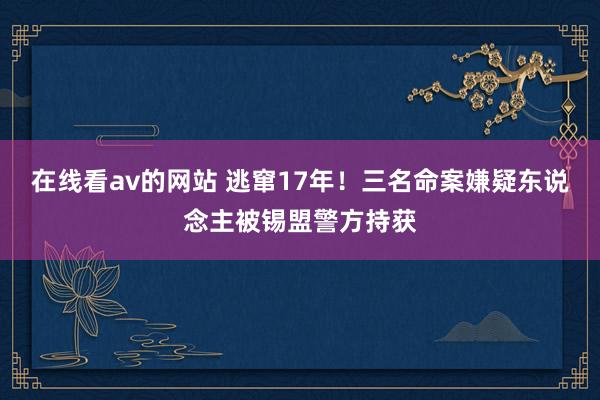 在线看av的网站 逃窜17年！三名命案嫌疑东说念主被锡盟警方持获