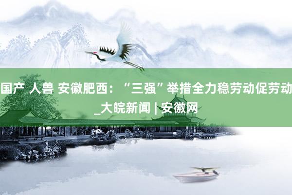 国产 人兽 安徽肥西：“三强”举措全力稳劳动促劳动_大皖新闻 | 安徽网