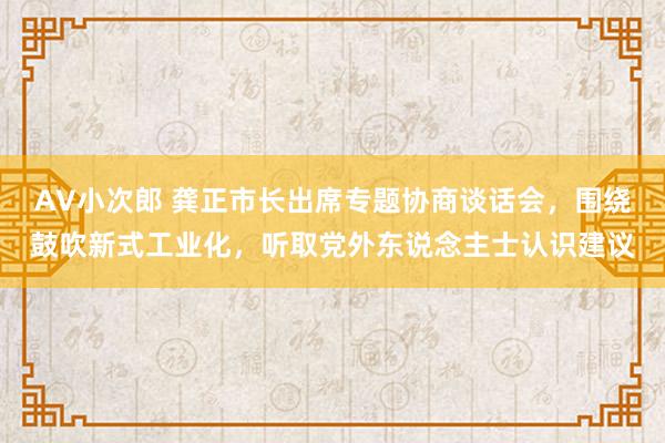 AV小次郎 龚正市长出席专题协商谈话会，围绕鼓吹新式工业化，听取党外东说念主士认识建议