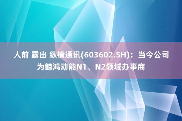 人前 露出 纵横通讯(603602.SH)：当今公司为鲸鸿动能N1、N2领域办事商