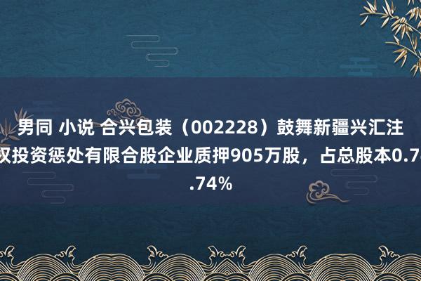 男同 小说 合兴包装（002228）鼓舞新疆兴汇注股权投资惩处有限合股企业质押905万股，占总股本0.74%