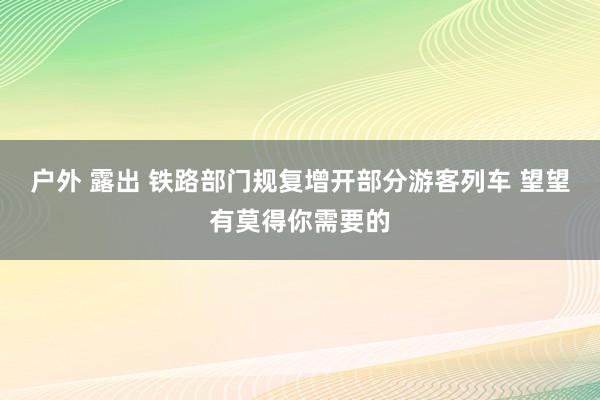 户外 露出 铁路部门规复增开部分游客列车 望望有莫得你需要的