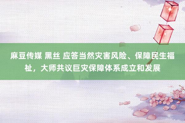 麻豆传媒 黑丝 应答当然灾害风险、保障民生福祉，大师共议巨灾保障体系成立和发展