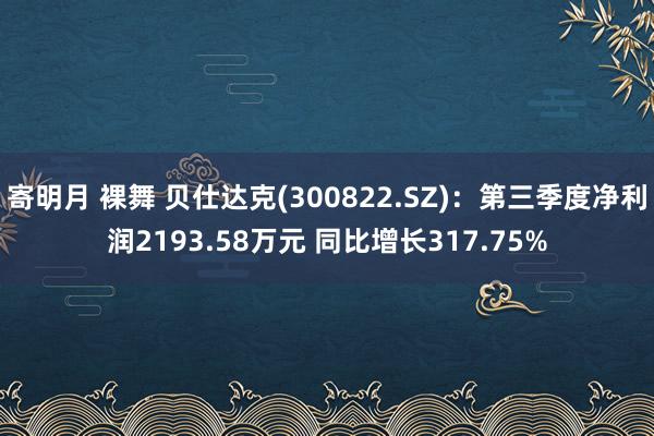 寄明月 裸舞 贝仕达克(300822.SZ)：第三季度净利润2193.58万元 同比增长317.75%