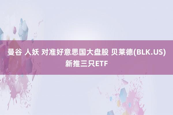 曼谷 人妖 对准好意思国大盘股 贝莱德(BLK.US)新推三只ETF