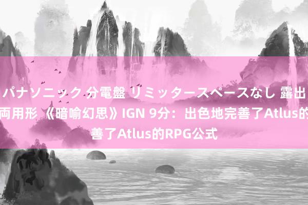 パナソニック 分電盤 リミッタースペースなし 露出・半埋込両用形 《暗喻幻思》IGN 9分：出色地完善了Atlus的RPG公式