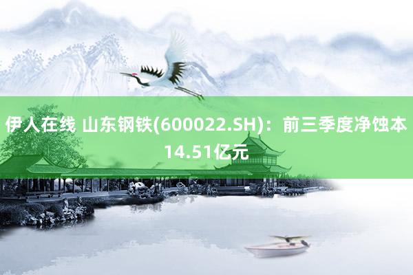 伊人在线 山东钢铁(600022.SH)：前三季度净蚀本14.51亿元