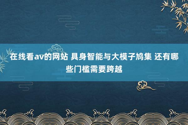 在线看av的网站 具身智能与大模子鸠集 还有哪些门槛需要跨越