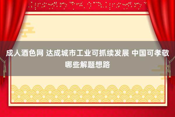 成人酒色网 达成城市工业可抓续发展 中国可孝敬哪些解题想路