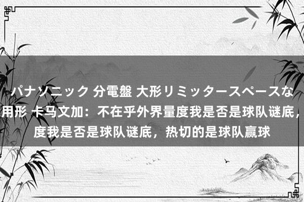 パナソニック 分電盤 大形リミッタースペースなし 露出・半埋込両用形 卡马文加：不在乎外界量度我是否是球队谜底，热切的是球队赢球