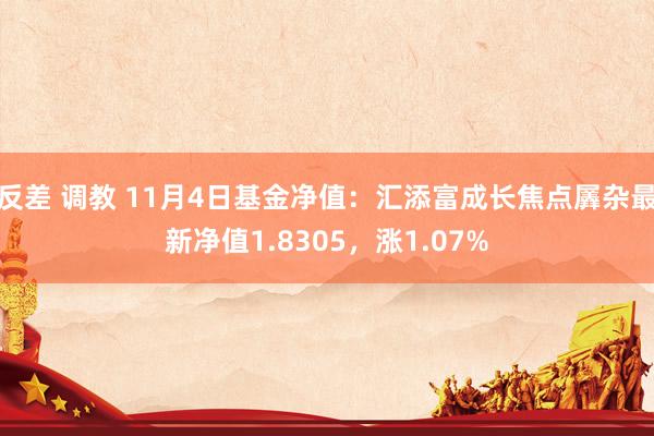 反差 调教 11月4日基金净值：汇添富成长焦点羼杂最新净值1.8305，涨1.07%