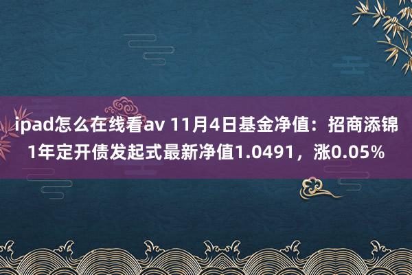 ipad怎么在线看av 11月4日基金净值：招商添锦1年定开债发起式最新净值1.0491，涨0.05%