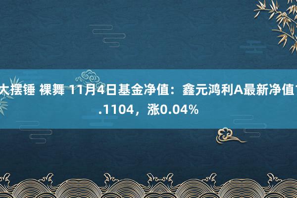 大摆锤 裸舞 11月4日基金净值：鑫元鸿利A最新净值1.1104，涨0.04%