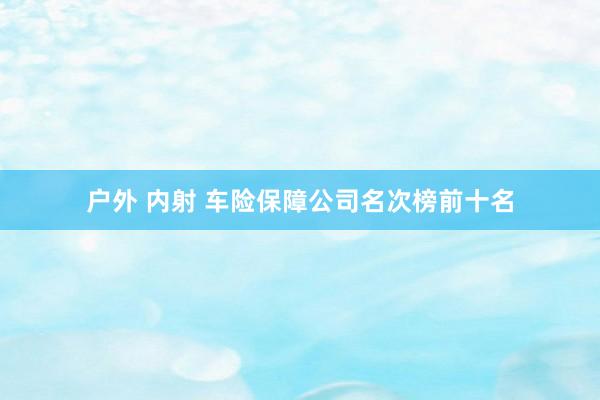 户外 内射 车险保障公司名次榜前十名