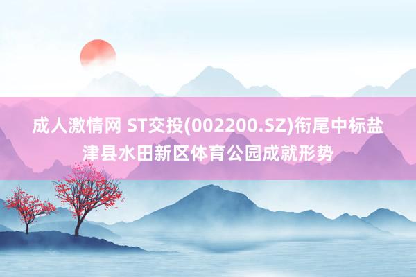 成人激情网 ST交投(002200.SZ)衔尾中标盐津县水田新区体育公园成就形势