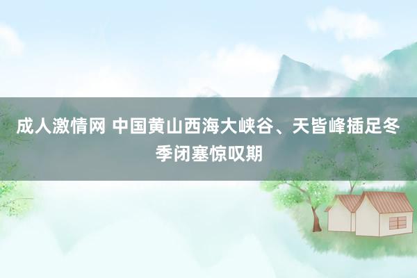 成人激情网 中国黄山西海大峡谷、天皆峰插足冬季闭塞惊叹期