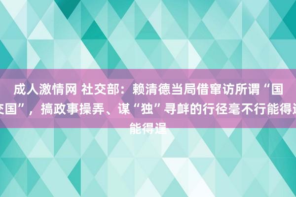 成人激情网 社交部：赖清德当局借窜访所谓“国交国”，搞政事操弄、谋“独”寻衅的行径毫不行能得逞