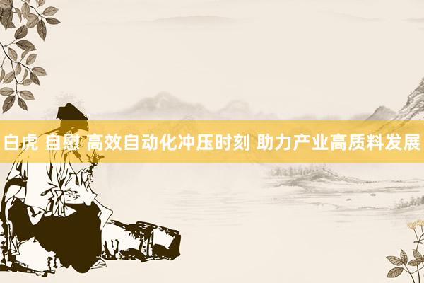 白虎 自慰 高效自动化冲压时刻 助力产业高质料发展