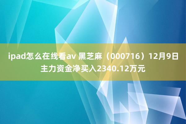 ipad怎么在线看av 黑芝麻（000716）12月9日主力资金净买入2340.12万元