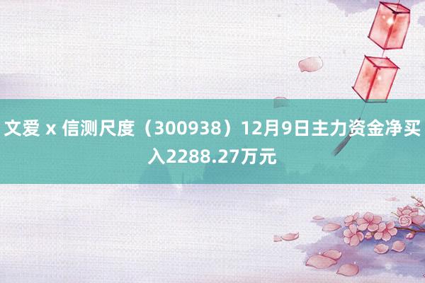 文爱 x 信测尺度（300938）12月9日主力资金净买入2288.27万元