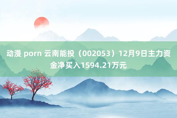 动漫 porn 云南能投（002053）12月9日主力资金净买入1594.21万元