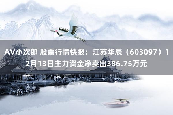 AV小次郎 股票行情快报：江苏华辰（603097）12月13日主力资金净卖出386.75万元