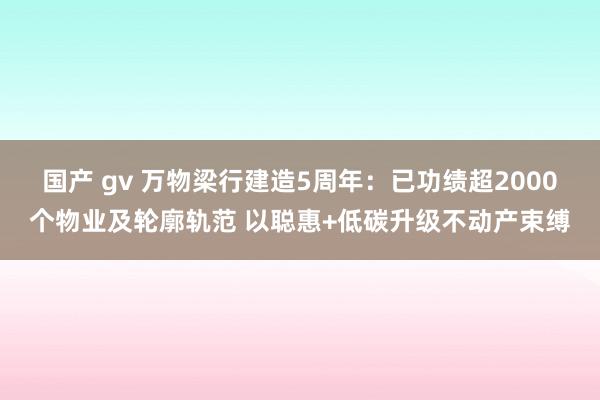 国产 gv 万物梁行建造5周年：已功绩超2000个物业及轮廓轨范 以聪惠+低碳升级不动产束缚