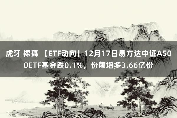 虎牙 裸舞 【ETF动向】12月17日易方达中证A500ETF基金跌0.1%，份额增多3.66亿份