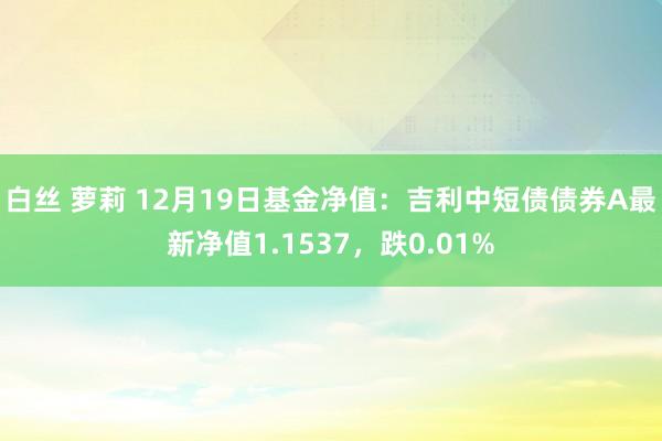 白丝 萝莉 12月19日基金净值：吉利中短债债券A最新净值1.1537，跌0.01%