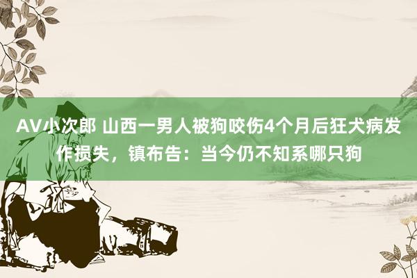 AV小次郎 山西一男人被狗咬伤4个月后狂犬病发作损失，镇布告：当今仍不知系哪只狗