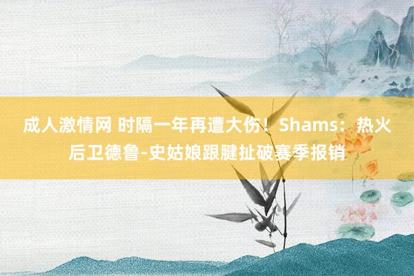 成人激情网 时隔一年再遭大伤！Shams：热火后卫德鲁-史姑娘跟腱扯破赛季报销