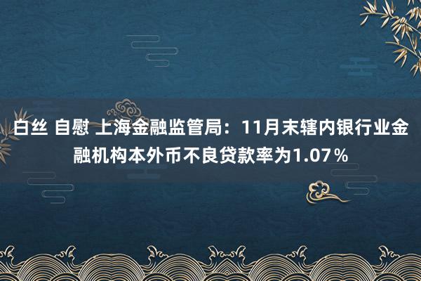 白丝 自慰 上海金融监管局：11月末辖内银行业金融机构本外币不良贷款率为1.07％