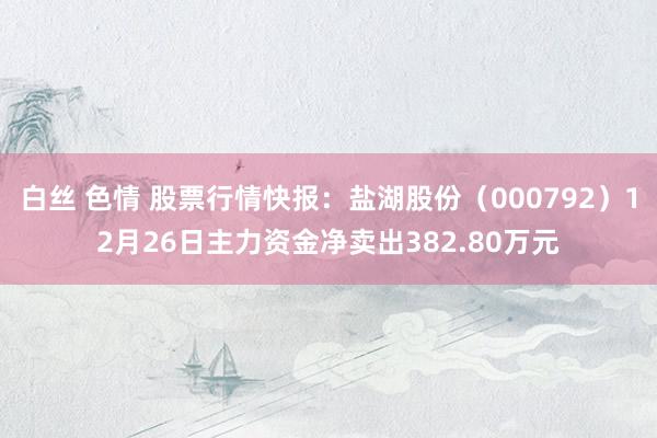 白丝 色情 股票行情快报：盐湖股份（000792）12月26日主力资金净卖出382.80万元